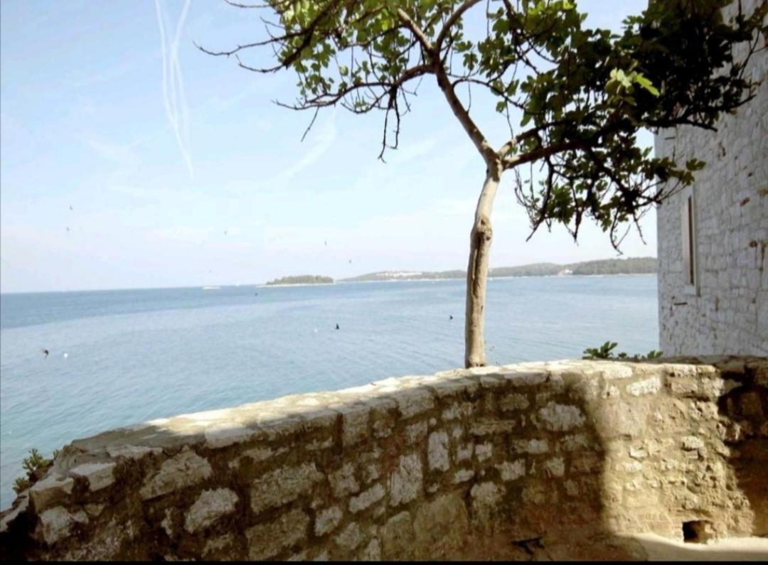Apartment Martin - 10 Mt To The Beach Rovinj Exterior photo
