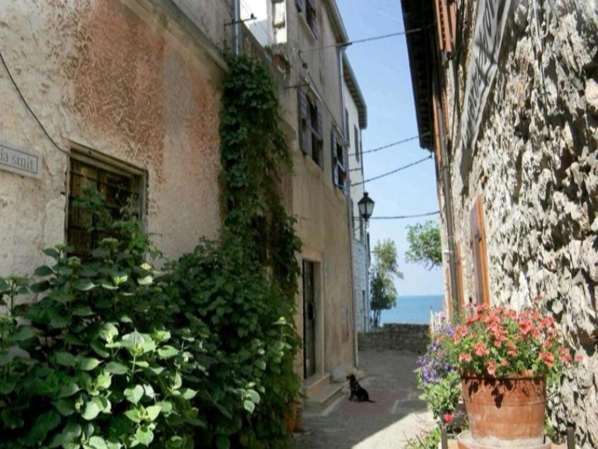 Apartment Martin - 10 Mt To The Beach Rovinj Exterior photo